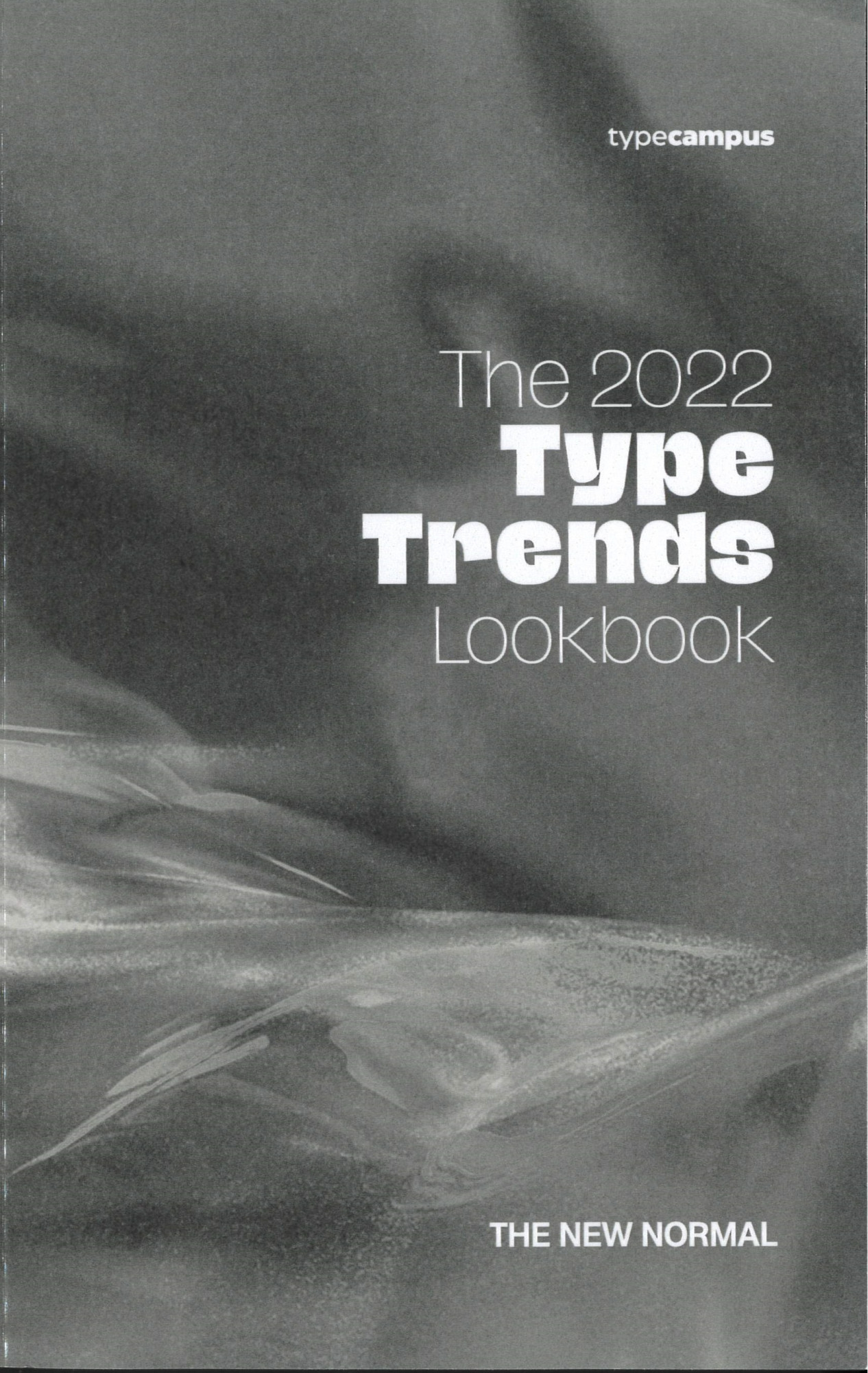 The 2022 type trends lookbook : the new normal 