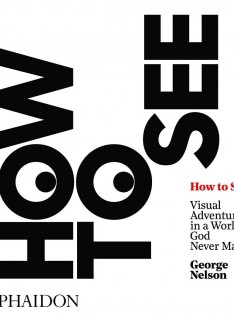 How to see : visual adventures in a world God never made