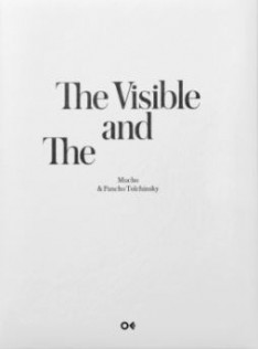 The visible and the 